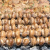 Гриби на мангалі (шампіньйони) Шашлик у Ашота